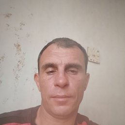 �������, 40 ���, ������