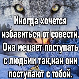 , , 38 
