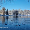 ���� ����, �����-��������� - ��������� 15 ������ 2025 � ������ ������ ��������
