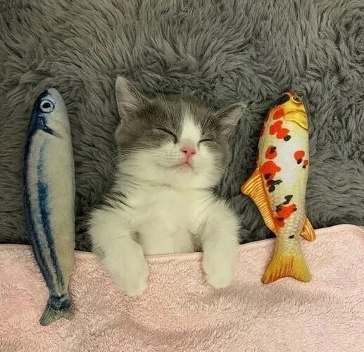   ,  ! !)