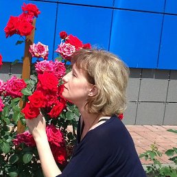 ���������, �������, 43 ����