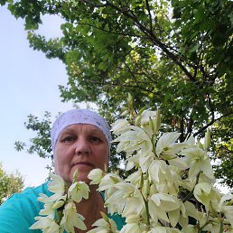  , 53, 