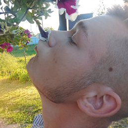 , 27, 