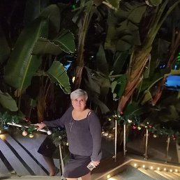 ����, �����������, 56 ���