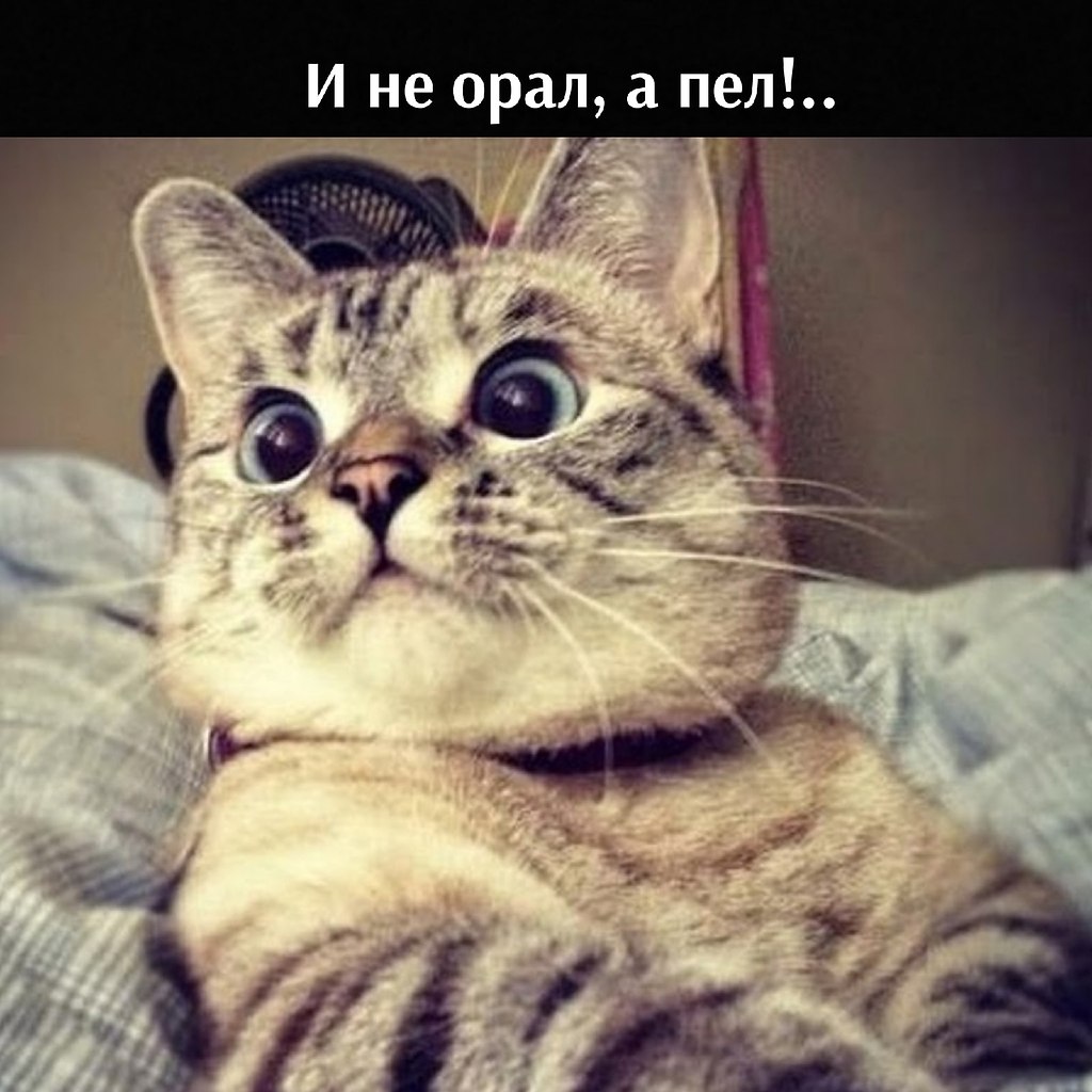 , ,    . - 4