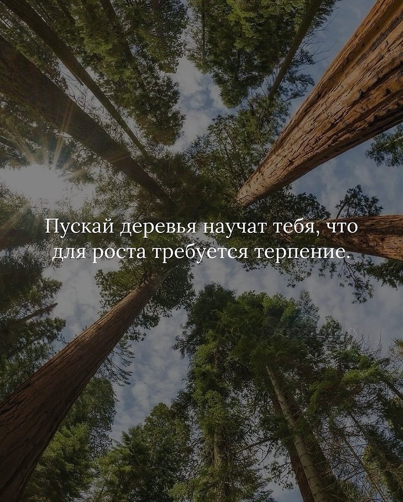 Проявление заботы о себе не подразумевает уклонения от ответственности или отказа от перемен, а ... - 3