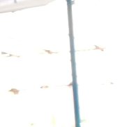 Samir, 41 ���, �������