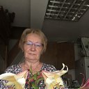 ���� �����, ������, 61 ��� - ��������� 26 ���� 2025 � ������ ���� ����������