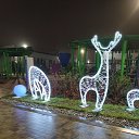 ���� ��������, �������� - ��������� 20 ������� 2025