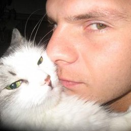 ������ �..., ������, 37 ���