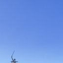 ���� ����, �����, 45 ��� - ��������� 15 ������� 2024 � ������ ���� ����������