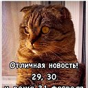���� ���, �����, 52 ���� - ��������� 27 ������� 2026 � ������ ���� ����������
