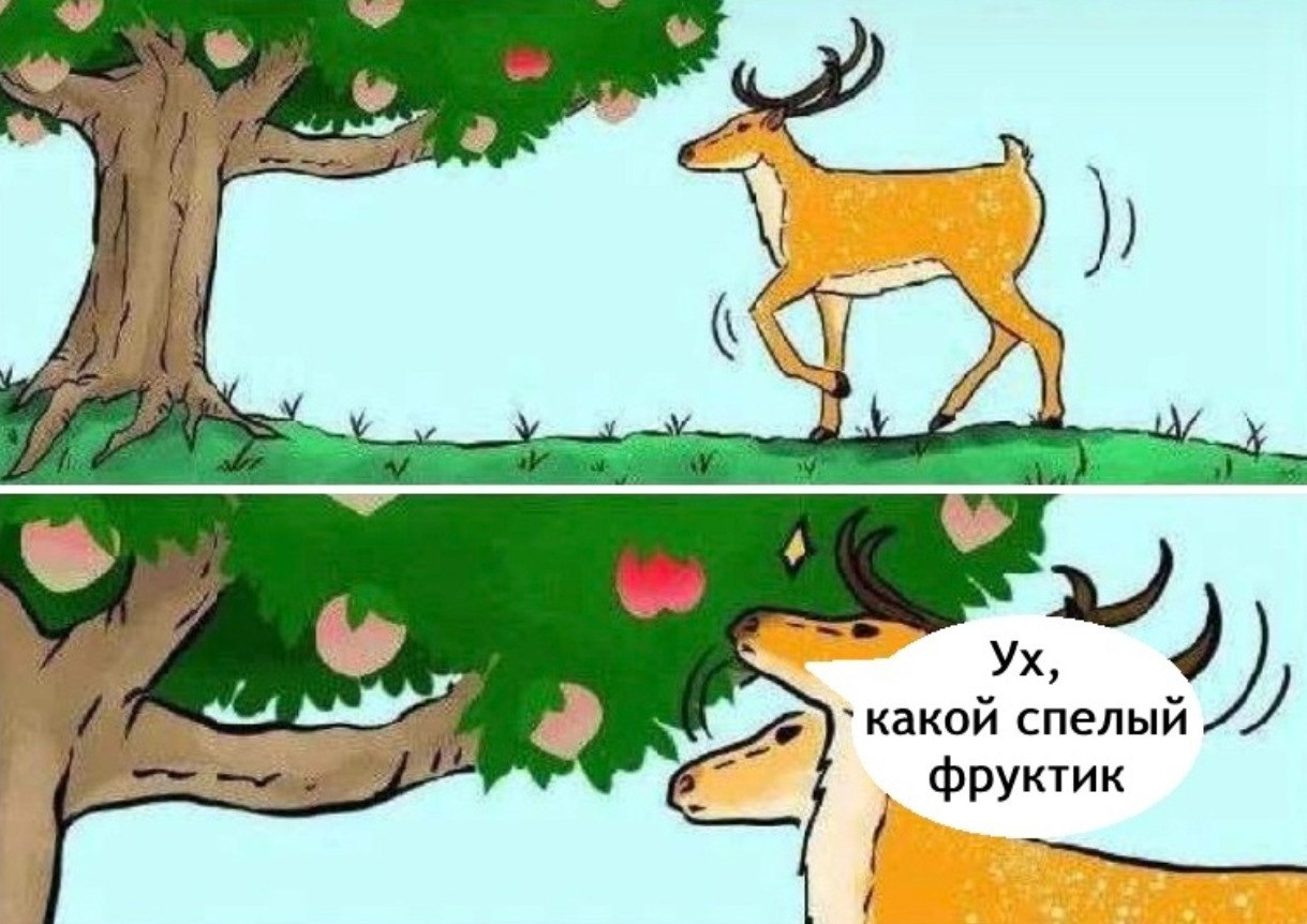   , !