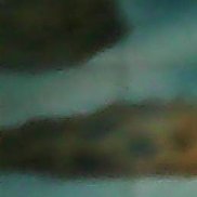 , , 