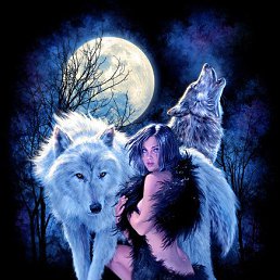 ���� �����, ����������, 43 ���� - ��������� 1 ������ 2026