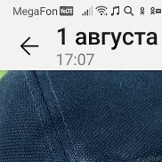 ������, 53 ����, ������