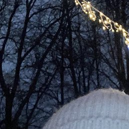 ����, ������, 49 ���