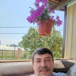 , 51, -