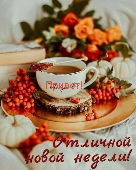   ,    . - 19  2025  23:53