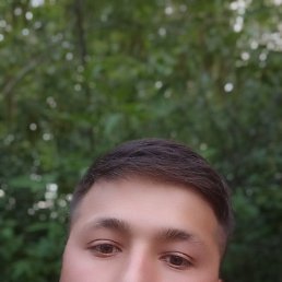 , 22, 