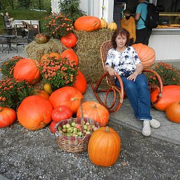 �������, ������, 69 ���