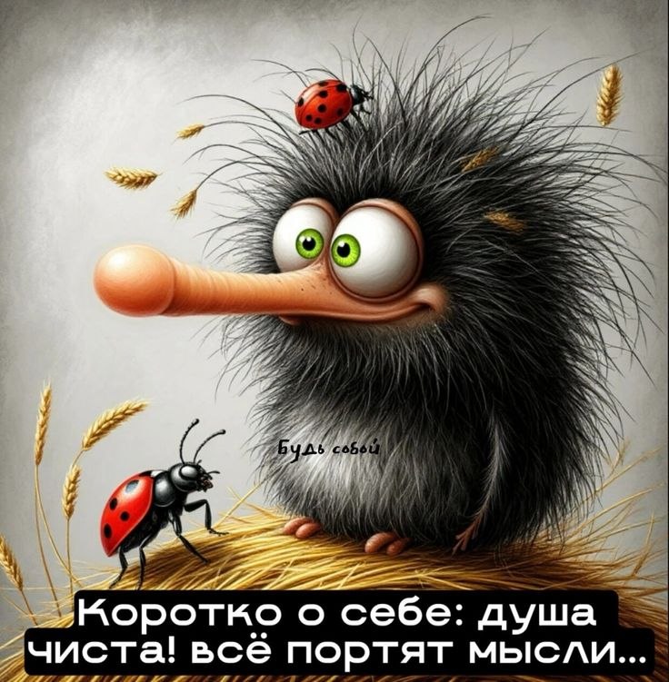   - 1  2025  02:45