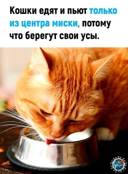aaec o o!