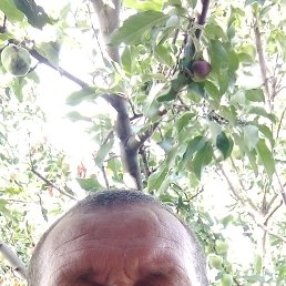 , 45, 