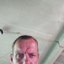 ������ ��������, �������, 46 ���