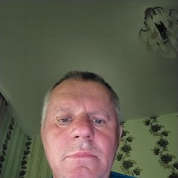, 61, 