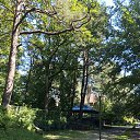 ���� �������, �����, 62 ���� - ��������� 1 �������� 2025 � ������ ���� ����������