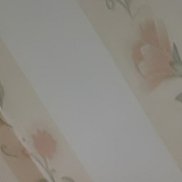 �������, 51 ���, �����