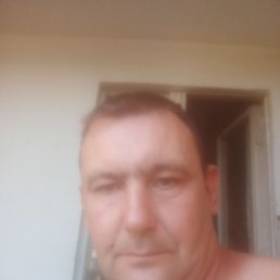 , 37, 