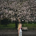 ���� ���������, ����������, 24 ���� - ��������� 24 ������ 2026 � ������ ���� ����������