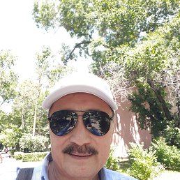 , 65, 
