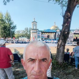 , 56, 