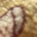 ���� ����, ���������, 54 ���� - ��������� 14 ������� 2024