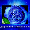 ���� �����, ������ - ��������� 1 ��� 2026 � ������ ������ ��������