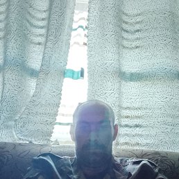 , 40 , 