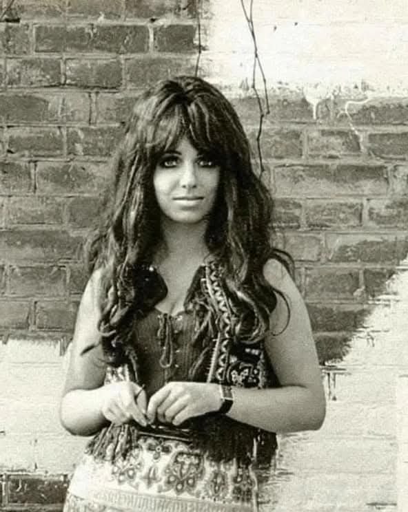 В 1968 году менеджер группы Shocking Blue оказался на вечеринке, где выступала упоминавшаяся группа ...
