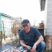 , 55 , 
