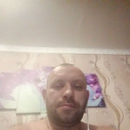 , 40, 