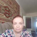 ���� ��������, ������, 40 ��� - ��������� 12 ������� 2025 � ������ ���� ����������
