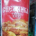 ���� ���������, ���������, 37 ��� - ��������� 5 ������ 2024 � ������ ���� ����������