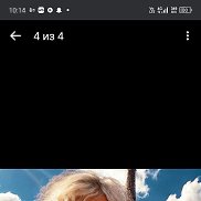 �����, 55 ���, �������