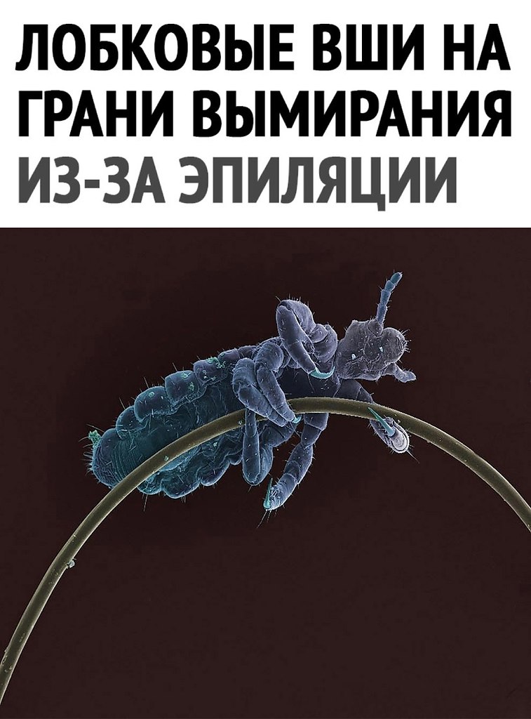  - 4  2025  11:51