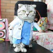 �������, 46 ���, ������