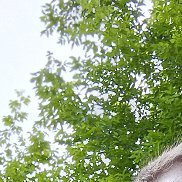 Misha, 28 ���, ����