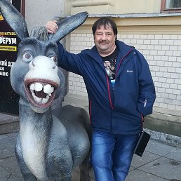 , 58, -