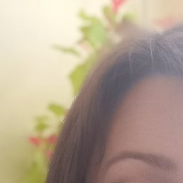 �����, ����, 49 ���